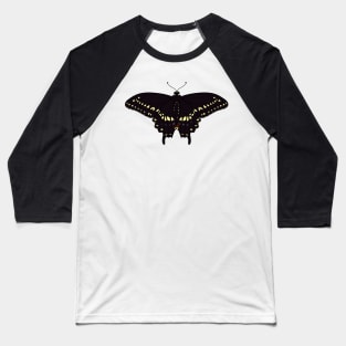 Black Swallowtail Butterfly Illustration Pattern Baseball T-Shirt